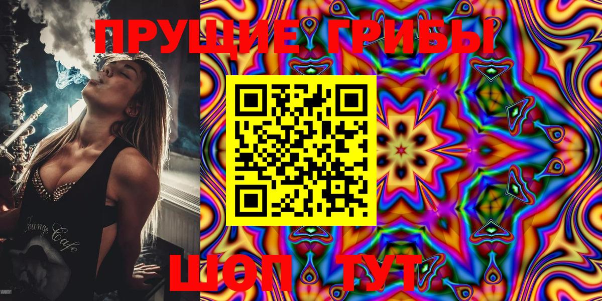 Павлово  Псилоцибиновые грибы мухоморы  Вход с VPN 